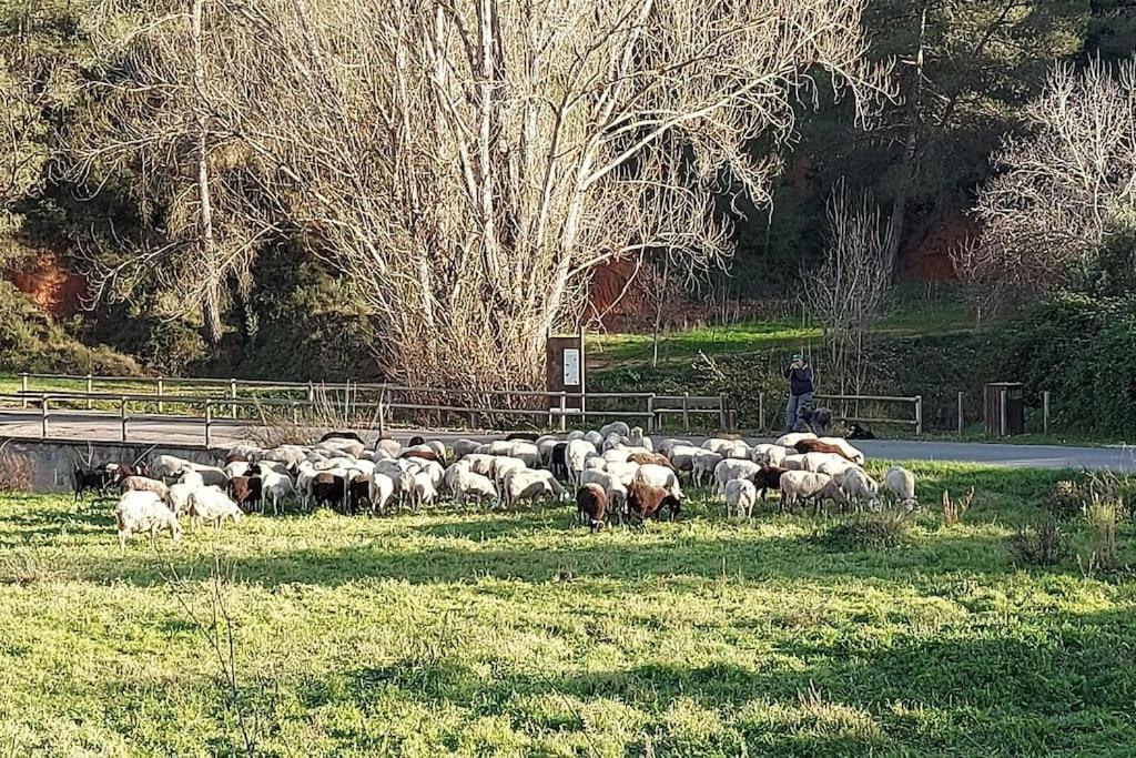 Casa Rural El Parais, Naturalmente. Agullent Kültér fotó