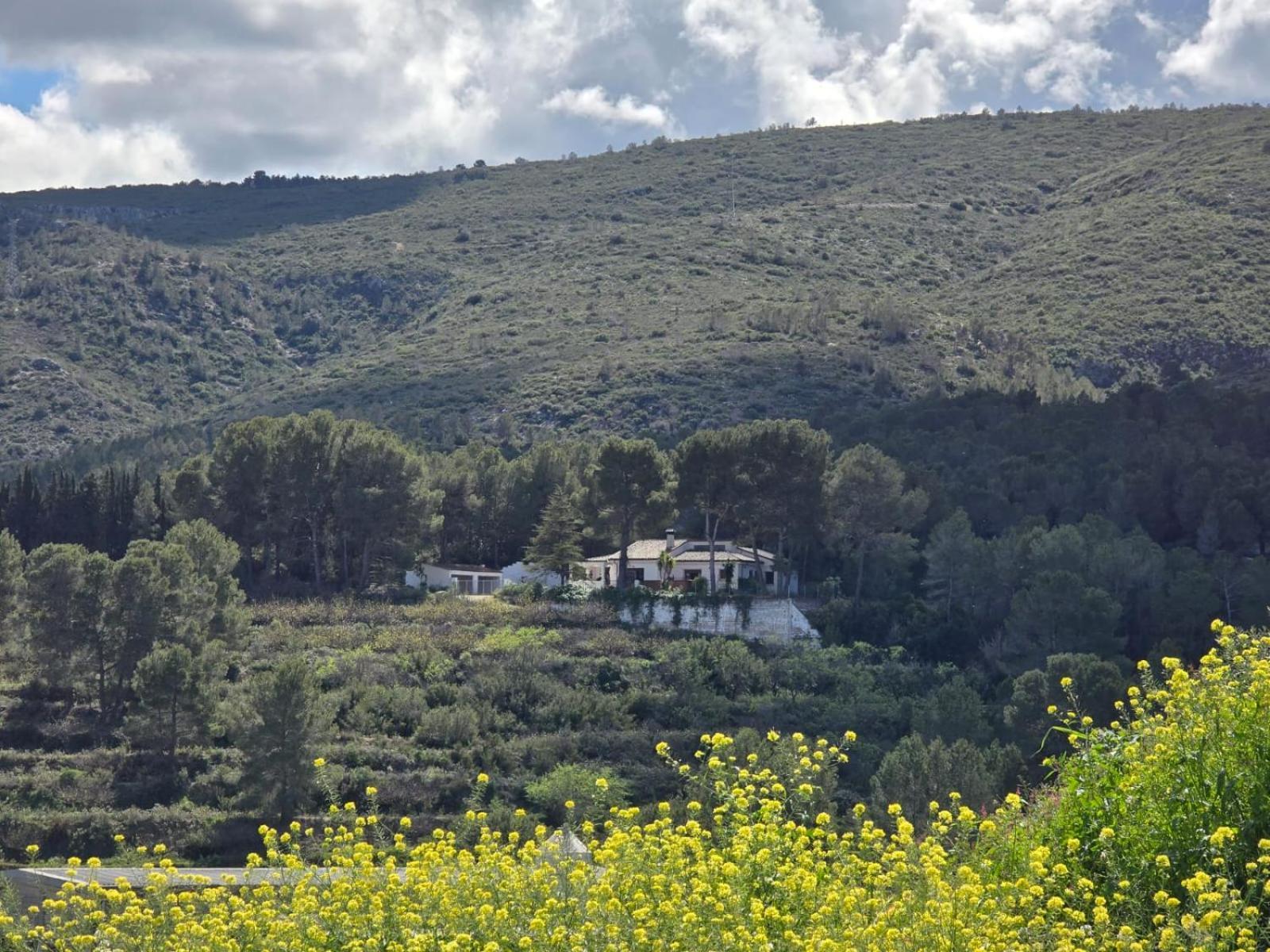 Casa Rural El Parais, Naturalmente. Agullent Kültér fotó